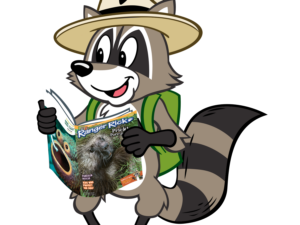 A happy raccoon in a ranger hat and backpack reads a magazine about a porcupine.