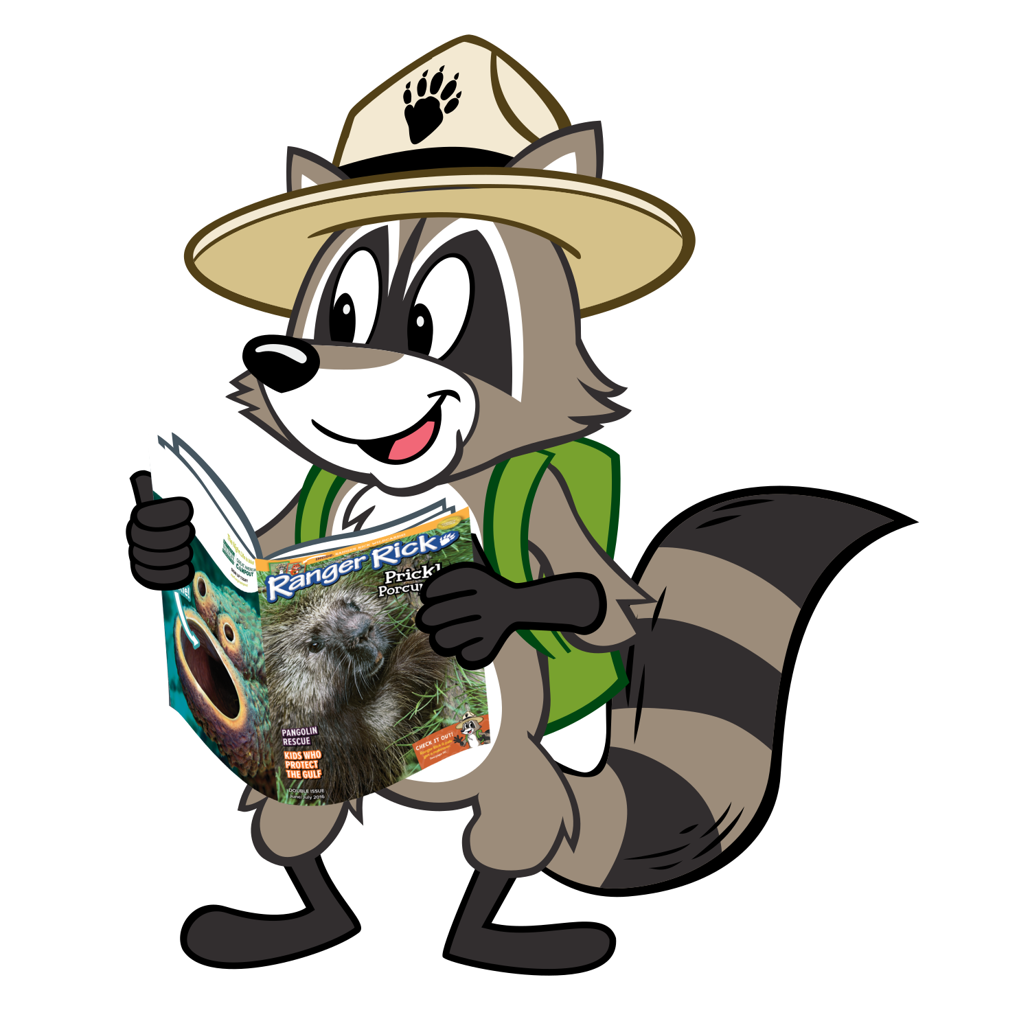 A happy raccoon in a ranger hat and backpack reads a magazine about a porcupine.