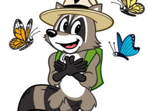 A happy raccoon in a ranger hat with a backpack smiles at three colorful butterflies.