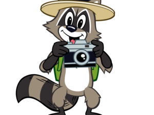 A friendly cartoon raccoon wearing a ranger hat and green backpack holds a camera.