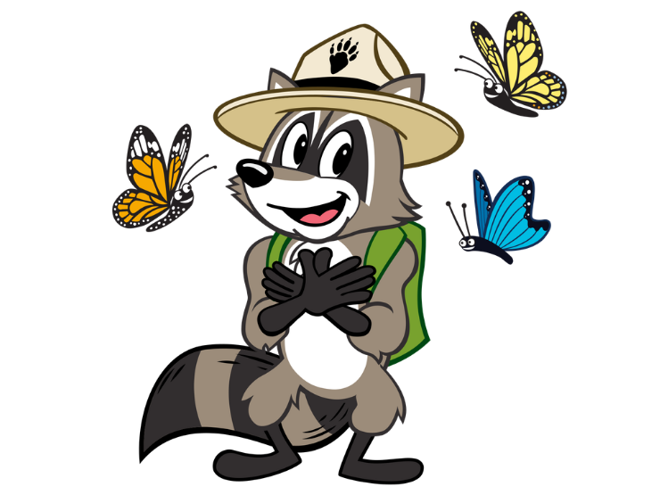 A friendly raccoon in a ranger hat and backpack smiles, surrounded by three colorful butterflies.