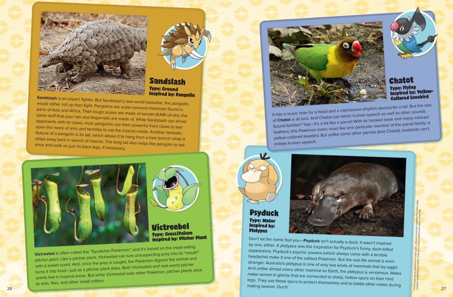 Magazine spread comparing more Pokemon to real animals including caterpillar pangolin and axolotl