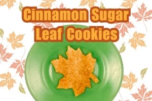 Maple leaf shaped cinnamon sugar cookie on a green plate
