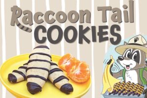 Striped raccoon tail cookies on yellow plate with Ranger Rick raccoon mascot illustration