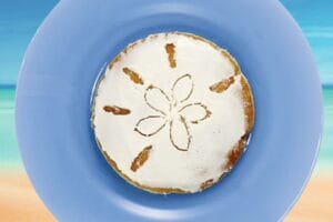 pancake shaped like a sand dollar on a blue plate with a beach background
