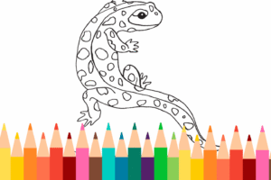 Salamander Coloring Page
