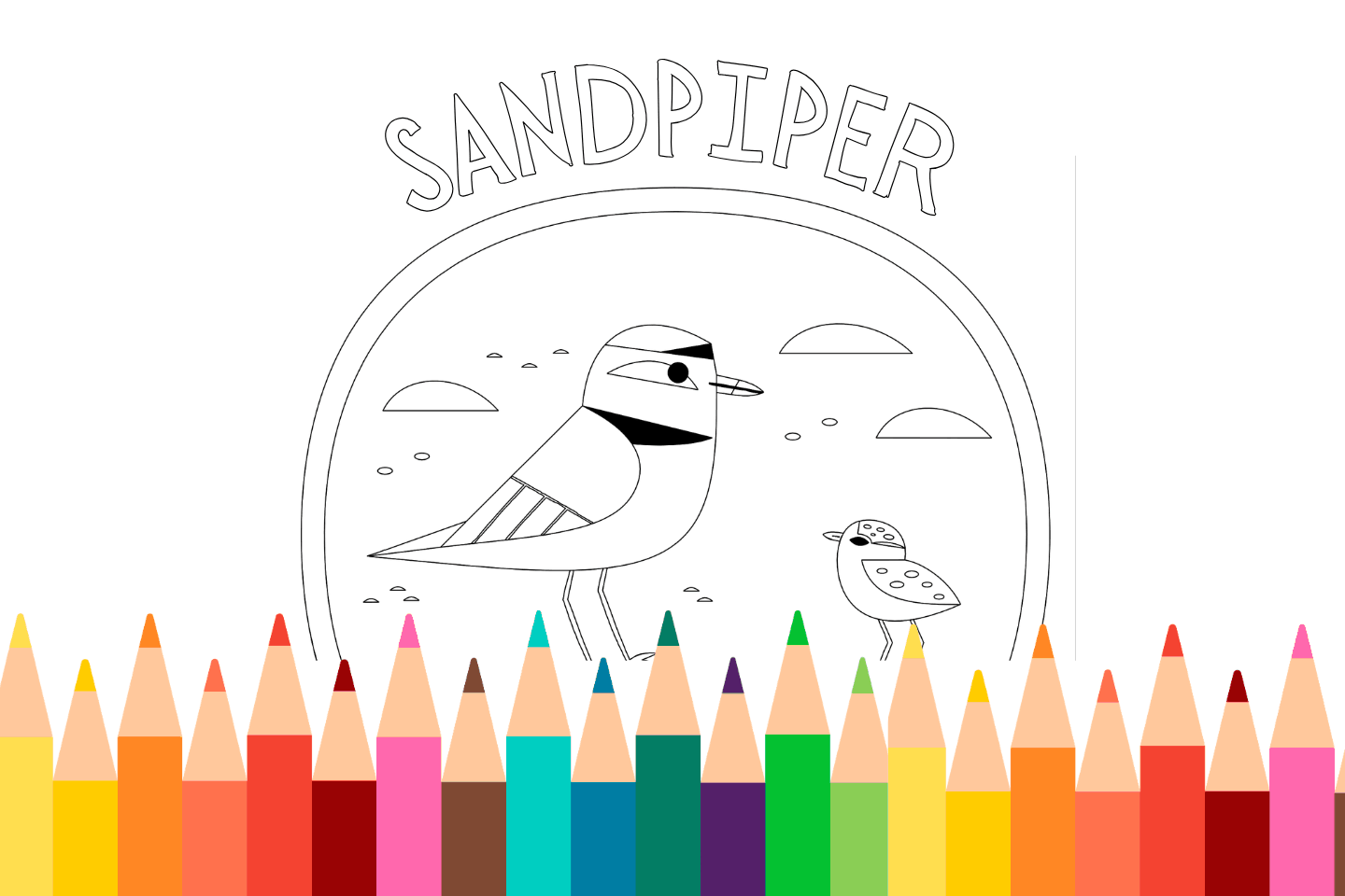 Printable sandpiper coloring page for kids
