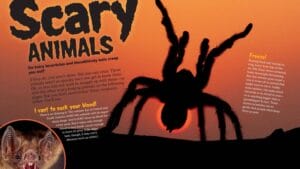 Magazine spread Scary Animals with giant tarantula silhouette at sunset and vampire bat closeup