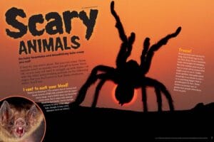 Magazine spread Scary Animals with giant tarantula silhouette at sunset and vampire bat closeup