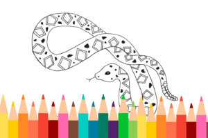 Snake Coloring Page