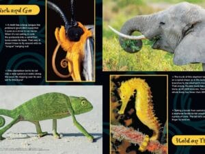 Magazine spread Tuck and Go with moth proboscis chameleon tail elephant trunk and seahorse spiral