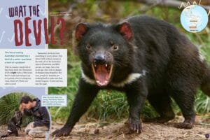 Magazine spread What the Devil with snarling Tasmanian devil Australia map and sanctuary worker