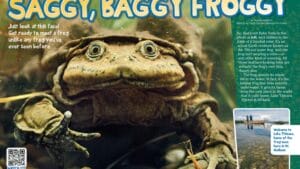 Magazine spread about super wrinkly Titicaca water frogs with underwater photos and Peru Bolivia map