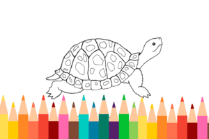 Turtle Coloring Page