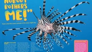Magazine spread Nobody Bothers Me with lionfish venomous spines against bright blue ocean
