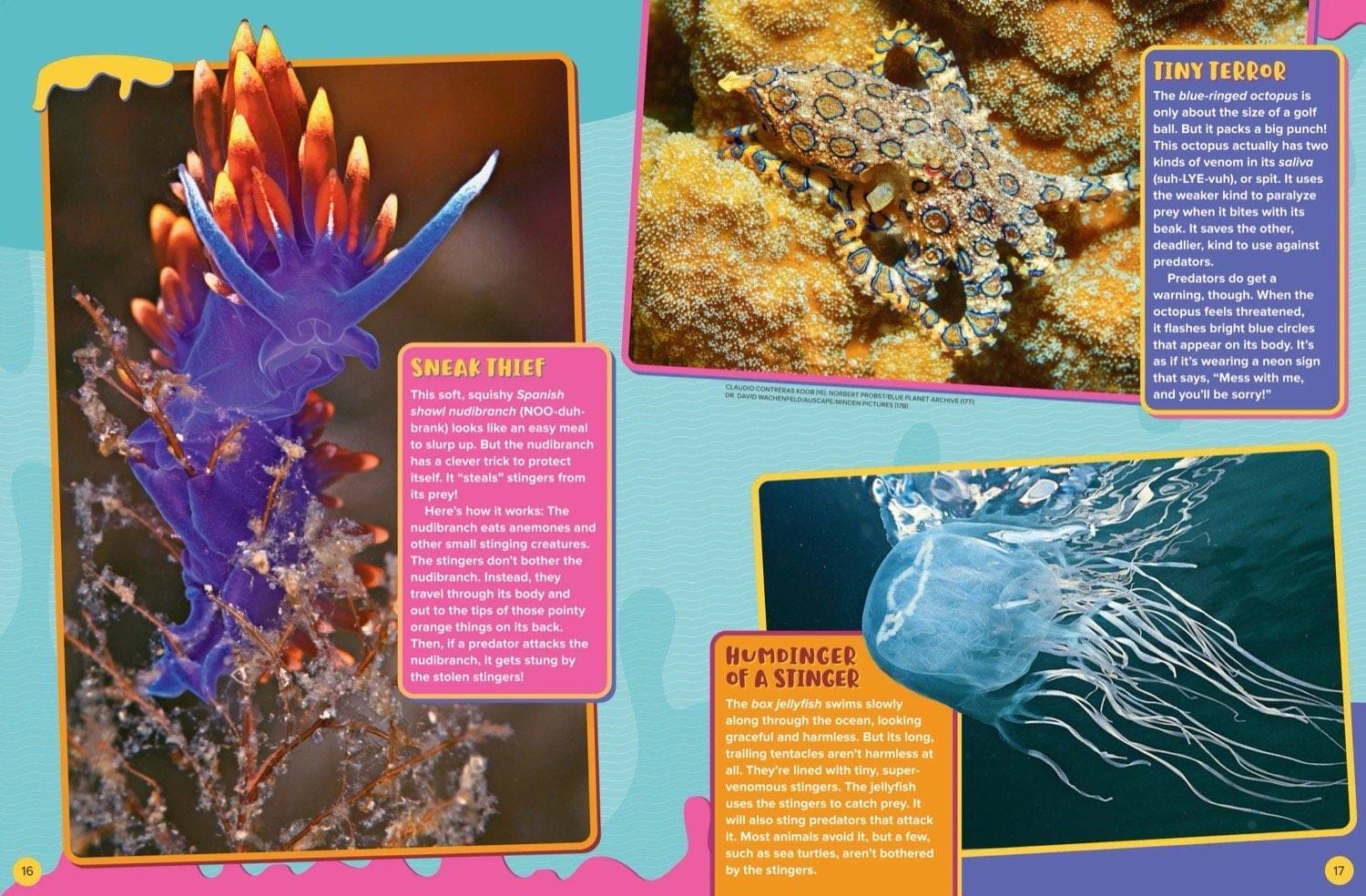 Magazine spread about venomous nudibranch blue-ringed octopus and jellyfish stinging tentacles