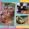 Magazine spread about hidden stonefish sea krait snake and cone snail harpoon venom