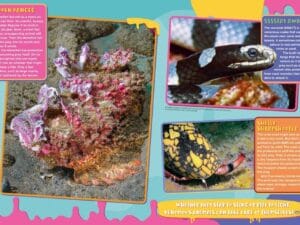 Magazine spread about hidden stonefish sea krait snake and cone snail harpoon venom
