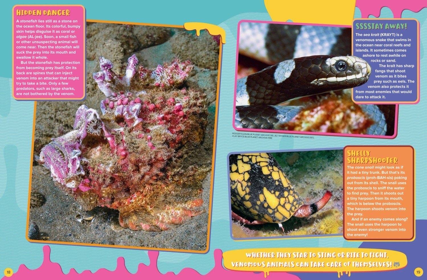 Magazine spread about hidden stonefish sea krait snake and cone snail harpoon venom