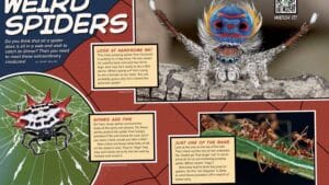 Magazine spread Weird Spiders with peacock spider display spiny orb weaver and ogre-faced spider