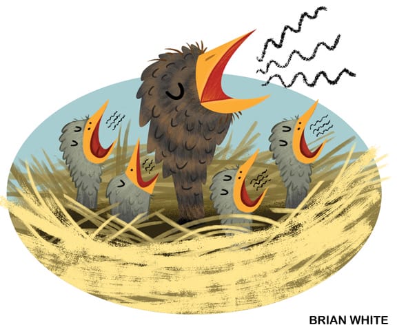 Illustration of baby bird siblings with open mouths begging for food in a nest
