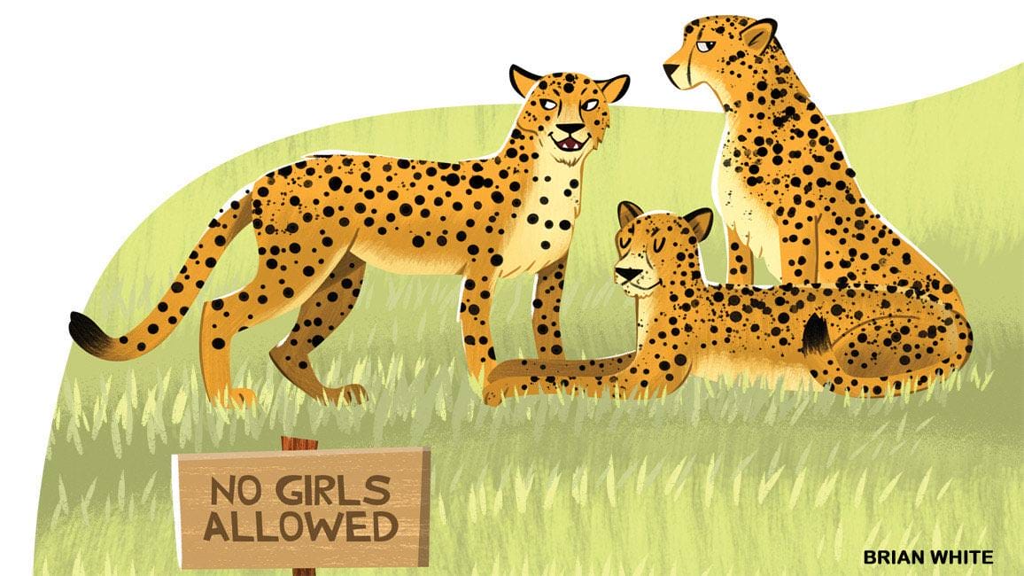 Illustration of three cheetah brothers lounging together with a No Girls Allowed sign