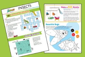 2 pages of Zoobooks activities about insects