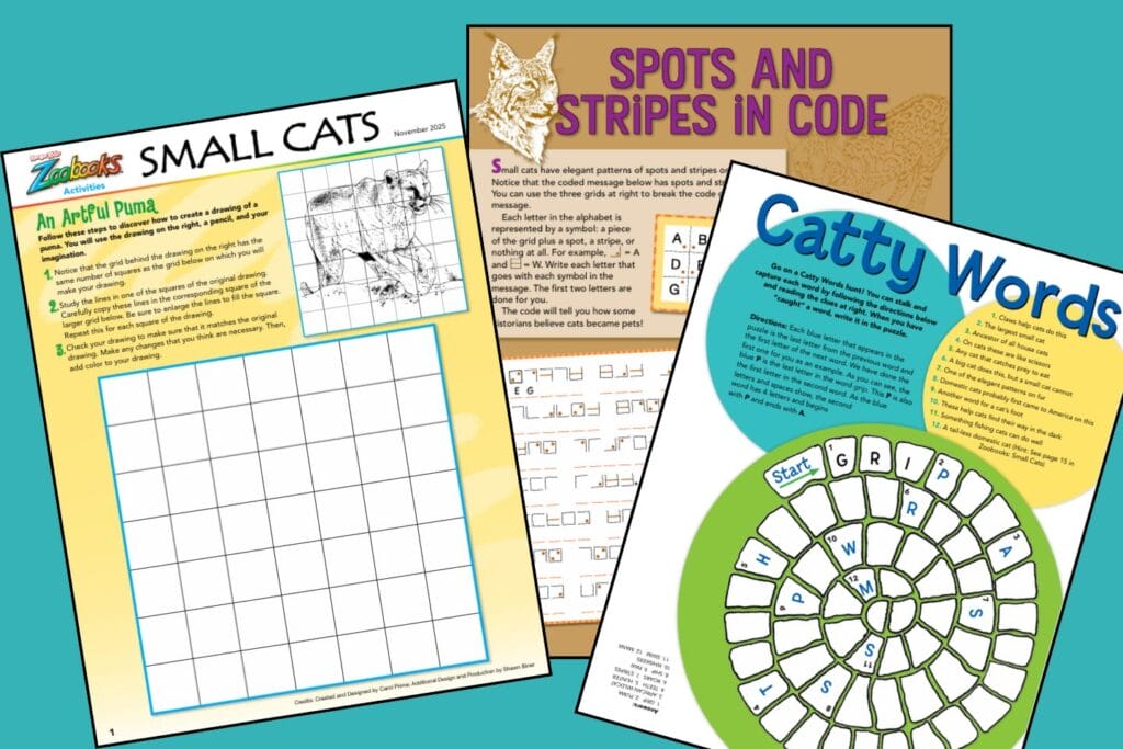 3 sheets of Zoobooks small cats activity pages on a teal background