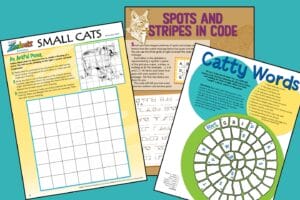 3 sheets of Zoobooks small cats activity pages on a teal background