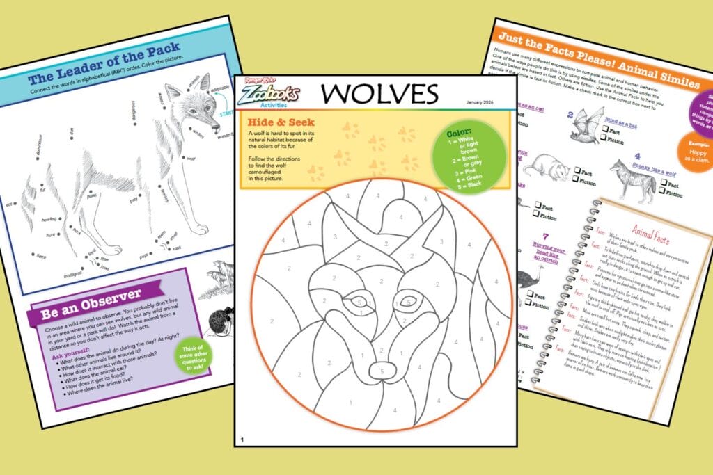 3 pages of Zoobooks activities about wolves