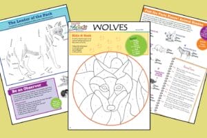 3 pages of Zoobooks activities about wolves