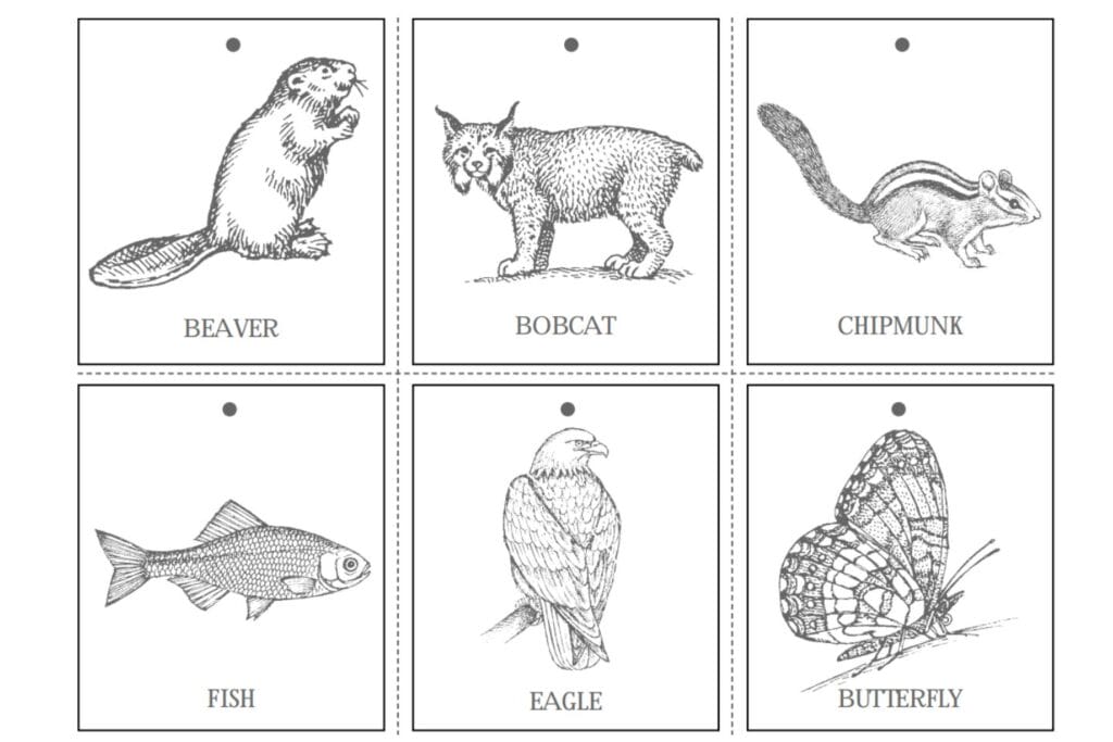 black and white animal matching cards: beaver, bobcat, chipmunk, fish, eagle, butterfly