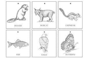 black and white animal matching cards: beaver, bobcat, chipmunk, fish, eagle, butterfly