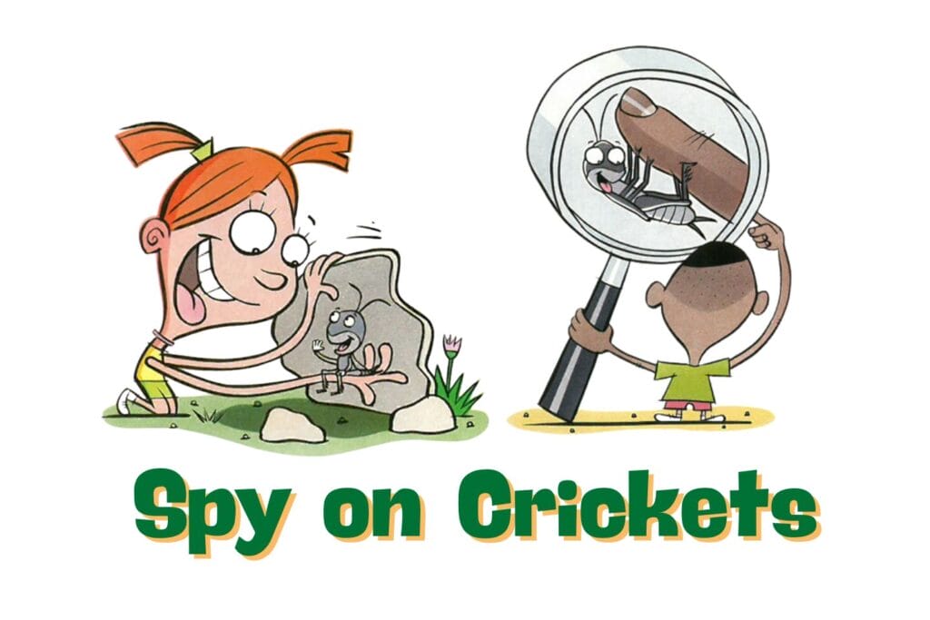 Illustrated kids observing crickets