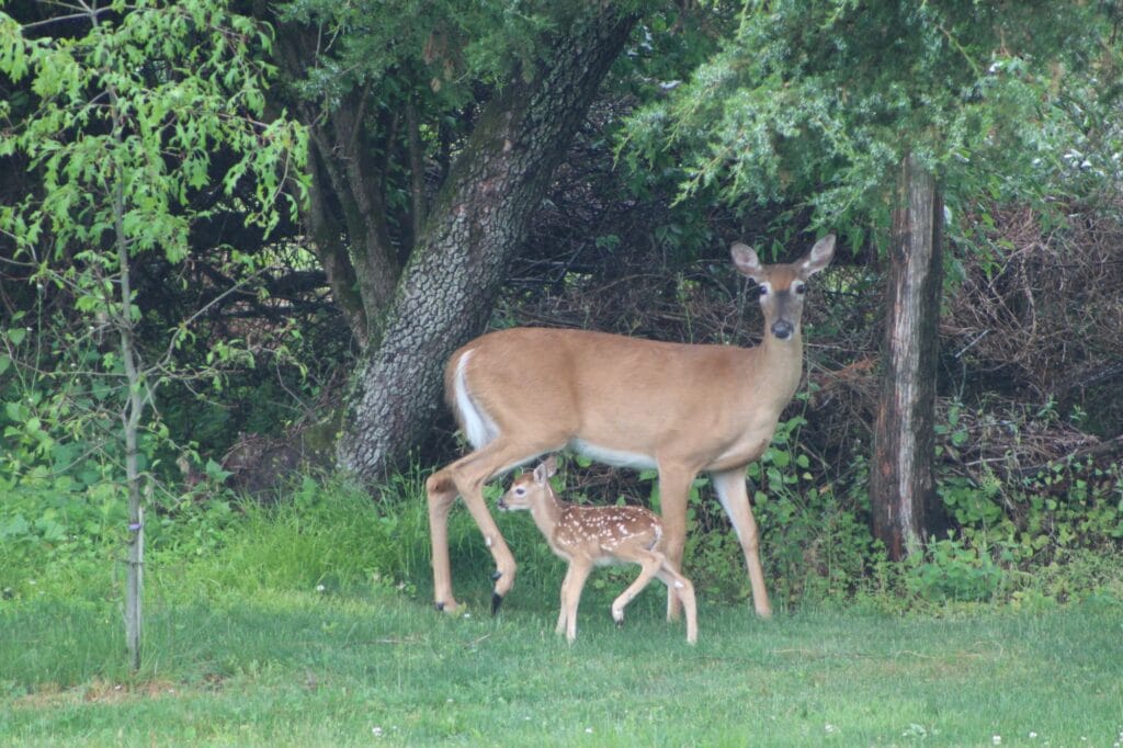 Photo by Valerie A.