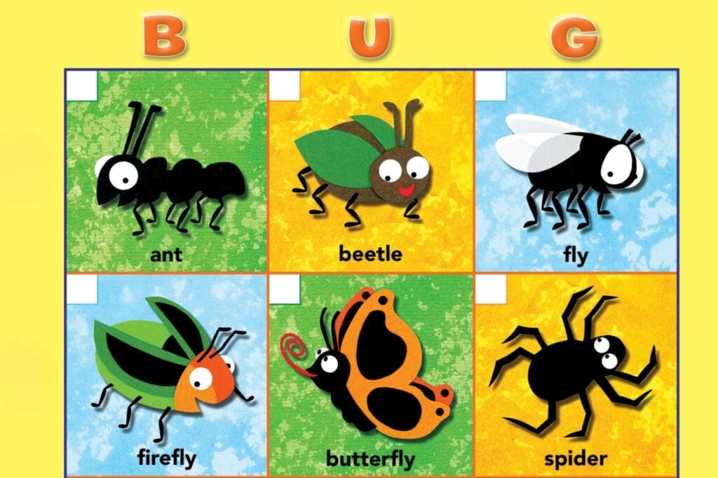 bingo card with illustrations of insects and spiders