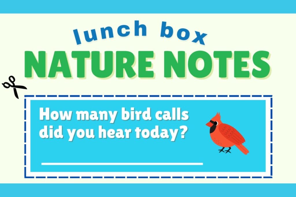 lunch box nature note with small scissors and a cardinal bird