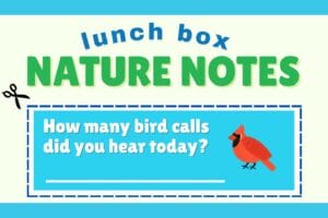 lunch box nature note with small scissors and a cardinal bird