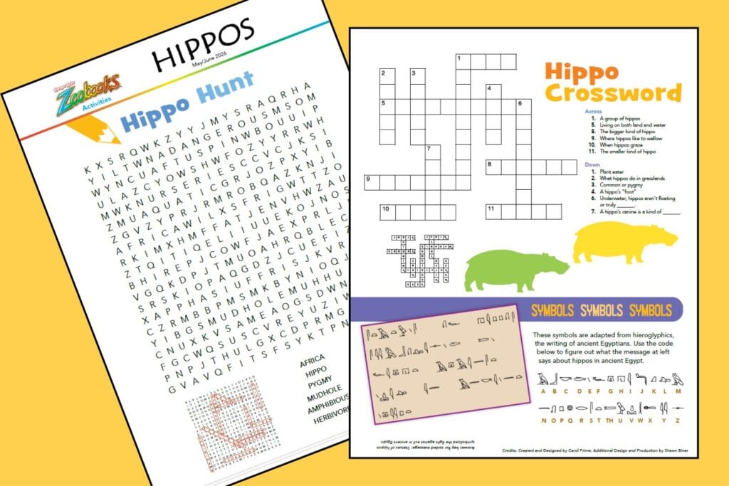 Zoobooks puzzles and games about hippos