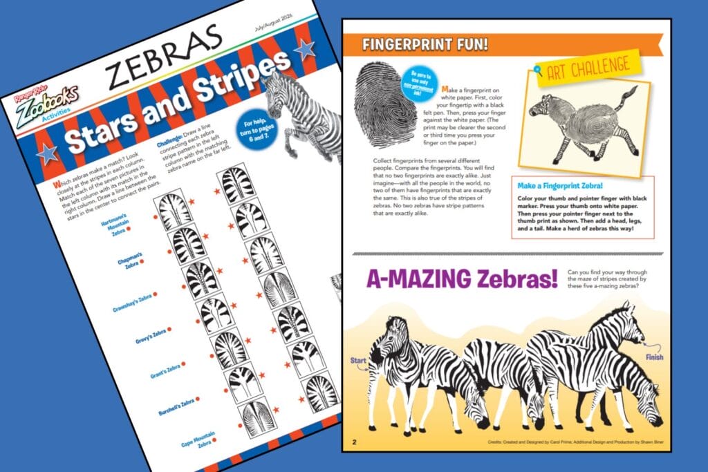 Zoobooks puzzles and games about zebras