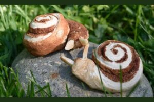 Closeup of a cinnamon roll snail snack showing spiral shell pattern and almond antennae