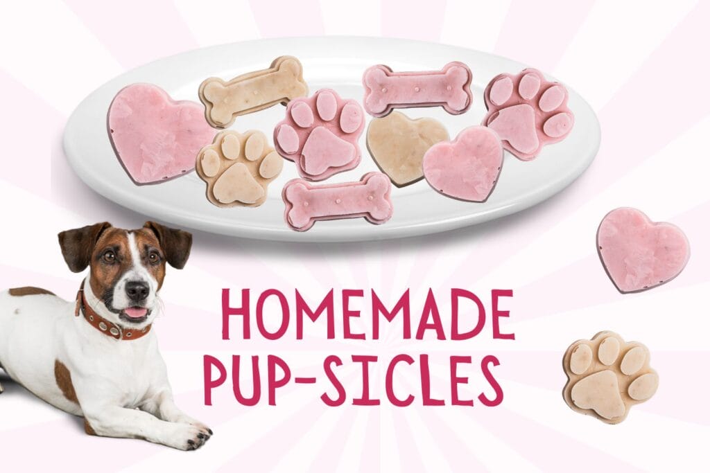Plate of homemade frozen pup-sicle treats in heart, bone and paw shapes with a happy dog