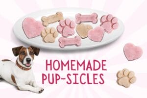 Plate of homemade frozen pup-sicle treats in heart, bone and paw shapes with a happy dog