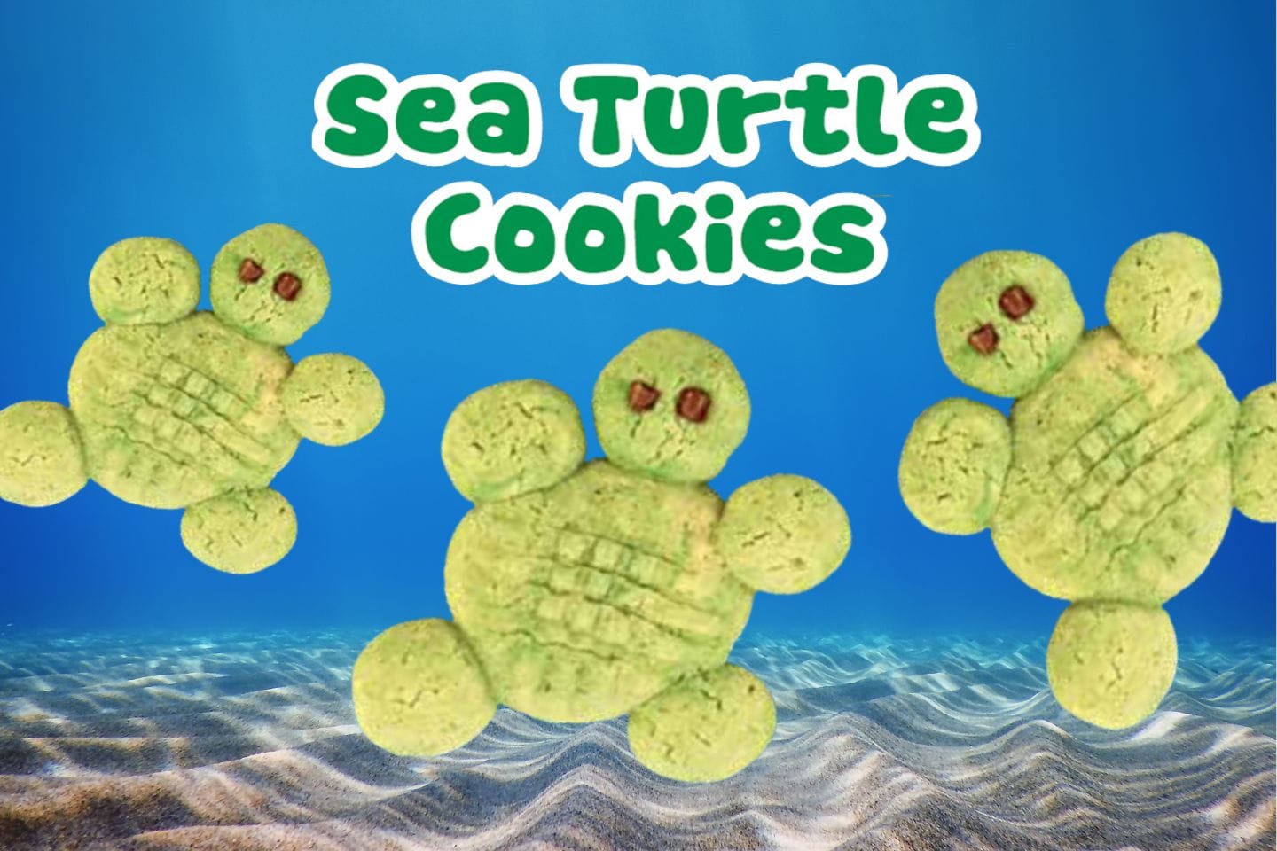 three green sea turtle cookies with an ocean background
