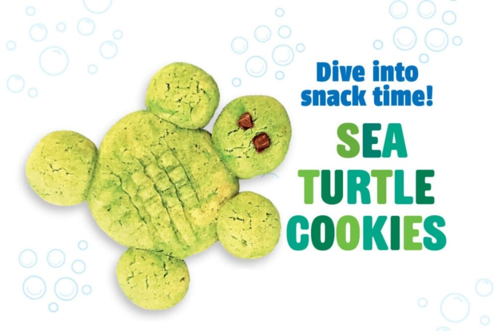 green sugar cookie shaped like a sea turtle with bubbles in the background