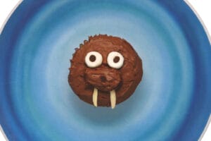 Chocolate frosted walrus cupcake with candy eyes and white chocolate tusks on a blue plate