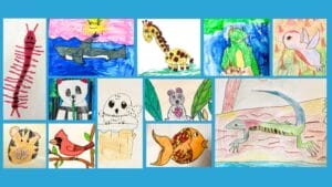 collection of colorful animal drawings by children