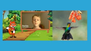 hummingbird sipping from a flower with a screenshot of Declan asking Scarlett Fox a question