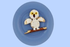 rice cakes covered in marshmallow creme arranged to look like a snowy owl on a blue plate