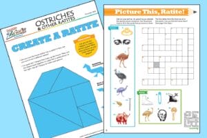ostrich activity pages